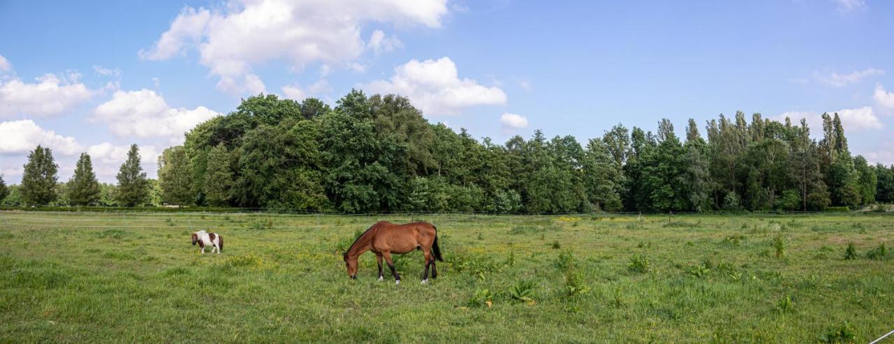 De Lammersdamhoeve Wingene Eksteriør bilde
